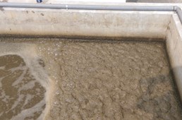 Bùn hóa lý sử dụng dòng máy ép bùn nào?